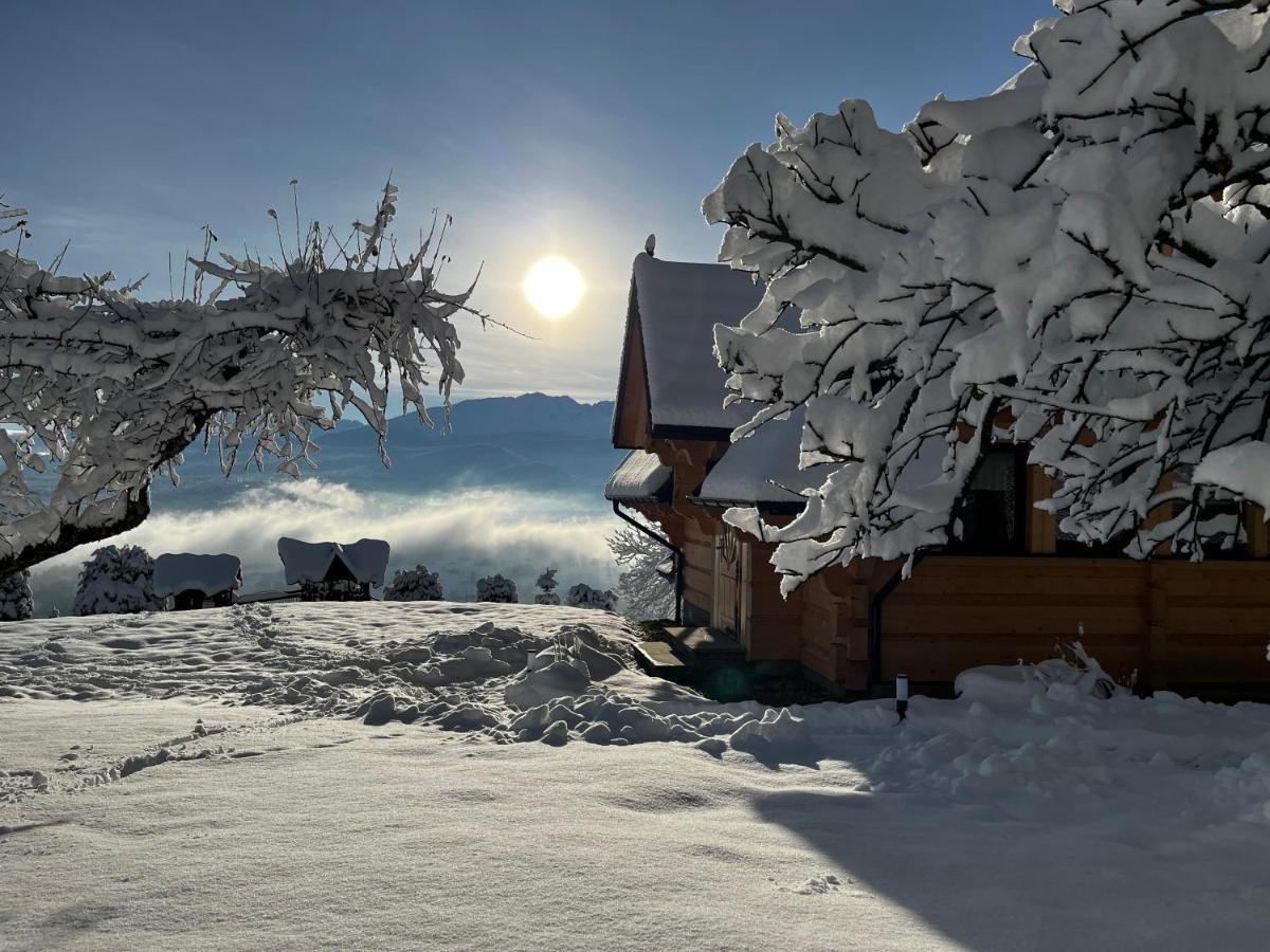 Furmanova Chalets ザコパネ エクステリア 写真